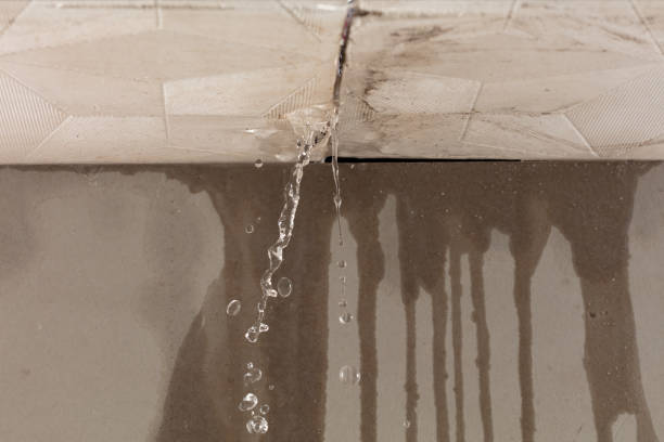 Professional Structural Drying technician working in Amherst, OH